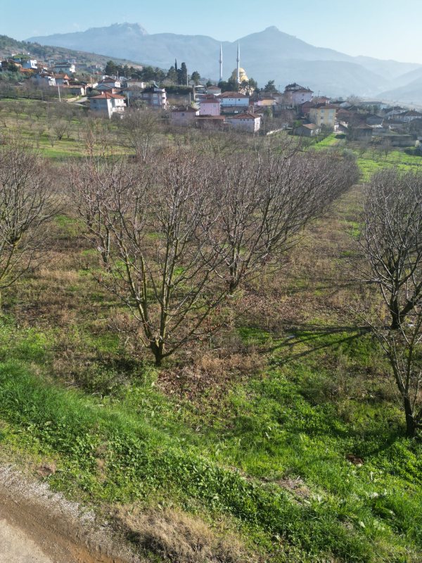 Doğantepe Köyü’nde doğayla iç içe, evinizi hemen yapabileceğiniz fırsat! – fotoğraf 8