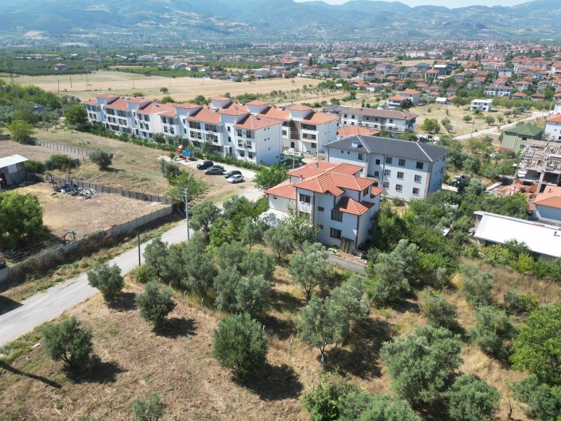 GEYVE PARLA TEPESİ'NDE PARLAYAN YILDIZ! – fotoğraf 5