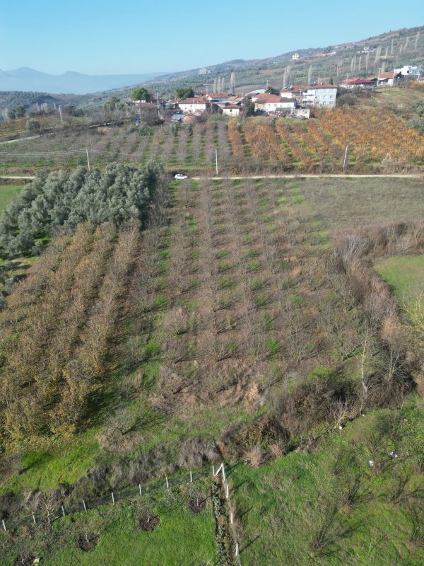 Doğantepe Köyü’nde doğayla iç içe, evinizi hemen yapabileceğiniz fırsat! – fotoğraf 4