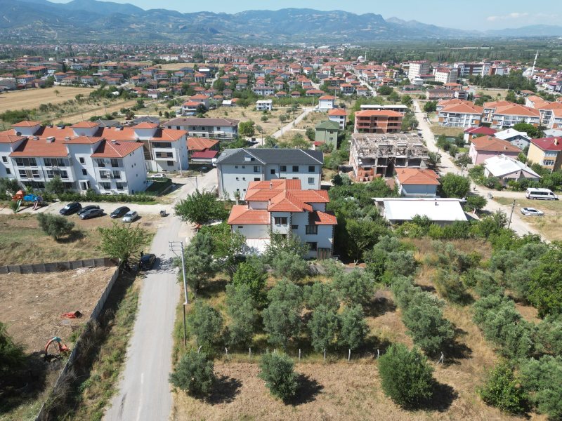 GEYVE PARLA TEPESİ'NDE PARLAYAN YILDIZ! – fotoğraf 6