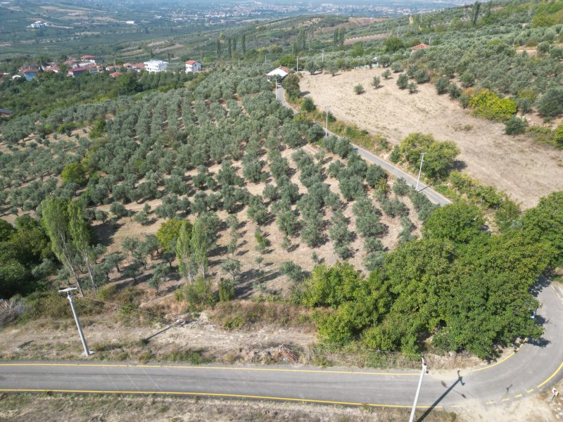 Sakarya Geyve Doğantepe'de 540 m2 5 adet yan yana İmarlı arsa – fotoğraf 2